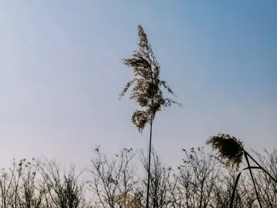 Bit4win Casino Mobiilirakendus